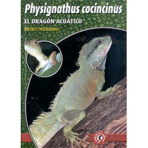 EL DRAGÓN ACUÁTICO PHYSIGNATHUS COCINCINUS