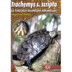 LA TORTUGA DE OREJAS AMARILLAS. TRACHEMYS S. SCRIPTA