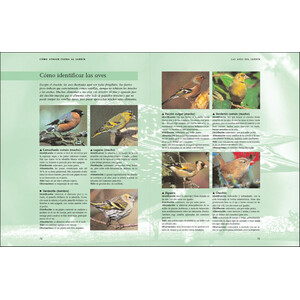 CÓMO ATRAER FAUNA AL JARDÍN 3
