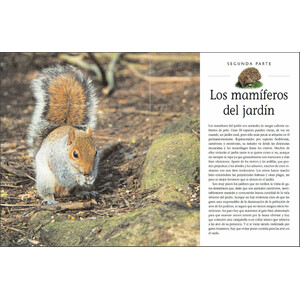 CÓMO ATRAER FAUNA AL JARDÍN 4