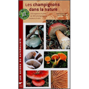 LES CHAMPIGNONS DANS LA NATURE