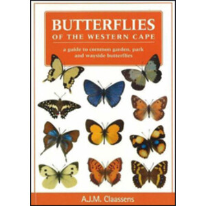BUTTERFLIES OF THE WESTERN CAPE. A GUIDE TO COMMON GARDEN, PARK AND WAYSIDE BUTTERFLIES