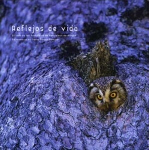REFLEJOS DE VIDA EL LIBRO DE LOS FOTÓGRAFOS DE ARAGÓN EN MEMORIA DE DAVID GÓMEZ SAMITIER