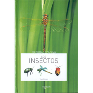 LOS INSECTOS