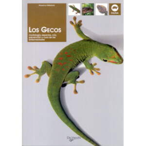 LOS GECOS. MORFOLOGÍA, ESPECIES, CRÍA, PREVENCIÓN Y CURA DE LAS ENFERMEDADES