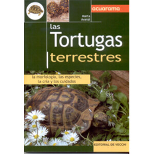 LAS TORTUGAS TERRESTRES. LA MORFOLOGÍA, LAS ESPECIES, LA CRÍA Y LOS CUIDADOS