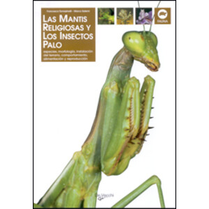 LAS MANTIS RELIGIOSAS Y LOS INSECTOS PALO