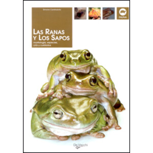 LAS RANAS Y LOS SAPOS. MORFOLOGÍA, ESPECIES, CRÍA Y CUIDADOS