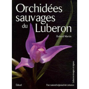 ORCHIDÉES SAUVAGES DU LUBERON