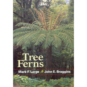 TREE FERNS