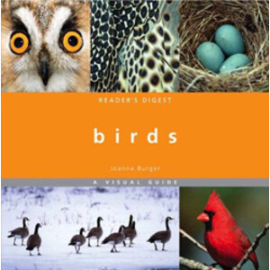 BIRDS. A VISUAL GUIDE