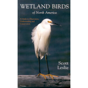 WETLAND BIRDS OF NORTH AMERICA. A GUIDE TO OBSERVATION, UNDERSTANDING AND CONSERVATION