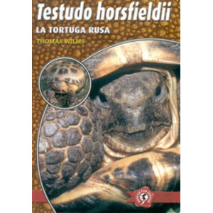 TESTUDO HORSFIELDII. LA TORTUGA RUSA