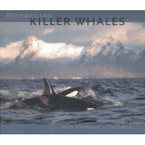 NORWEGIAN KILLER WHALES