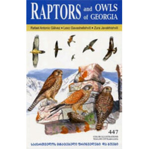RAPTORS AND OWLS OF GEORGIA