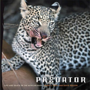 PREDATOR. LIFE AND DEATH IN THE AFRICAN BUSH