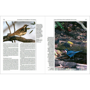 HANDBOOK OF THE BIRDS OF THE WORLD, VOL. 12. PICATHARTES TO TITS AND CHICKADEES 2