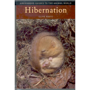 HIBERNATION
