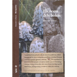 ELS NOMS DELS BOLETS