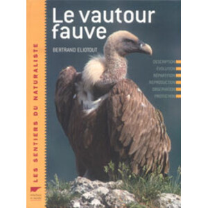 LE VAUTOUR FAUVE