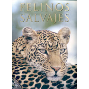 FELINOS SALVAJES