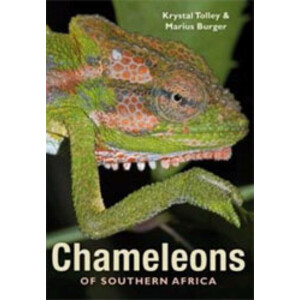 CHAMELEONS OF SOUTHERN AFRICA