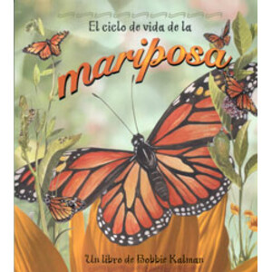 EL CICLO DE VIDA DE LAS MARIPOSAS