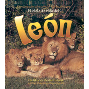 EL CICLO DE VIDA DEL LEÓN