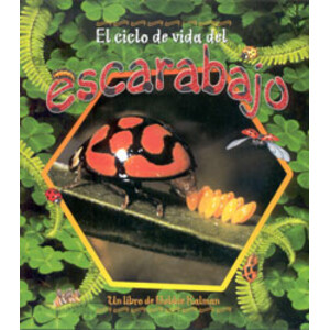 EL CICLO DE VIDA DEL ESCARABAJO