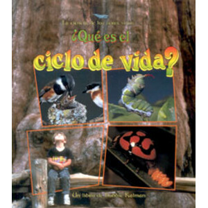¿QUÉ ES EL CICLO DE VIDA?
