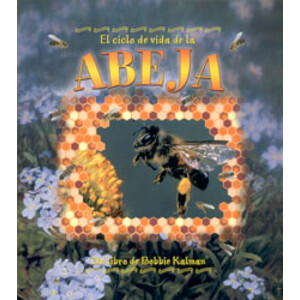 EL CICLO DE VIDA  DE LA ABEJA