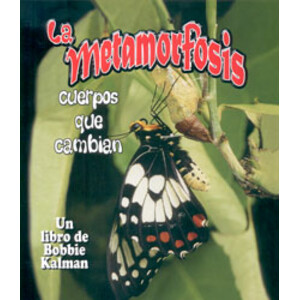 LA METAMORFOSIS. CUERPOS QUE CAMBIAN