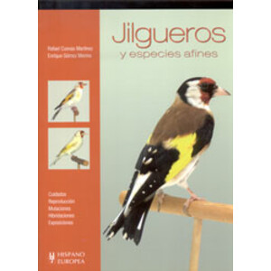 JILGUEROS Y ESPECIES AFINES