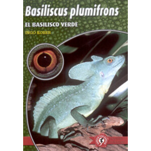BASILISCUS PLUMIFRONS. EL BASILISCO VERDE