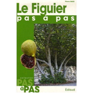 LE FIGUIER PAS À PAS