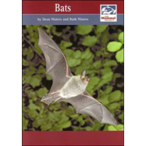 BATS