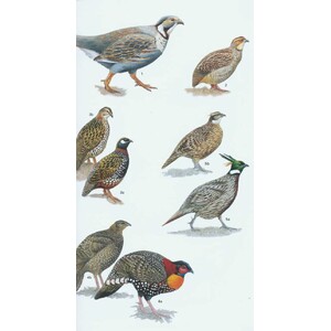 HELM FIELD GUIDE TO THE BIRDS OF PAKISTAN_1