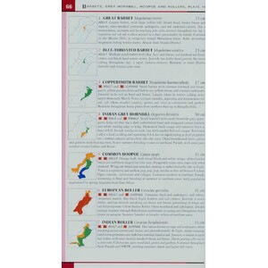 HELM FIELD GUIDE TO THE BIRDS OF PAKISTAN 4