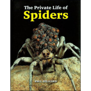 THE PRIVATE LIFE OF SPIDERS