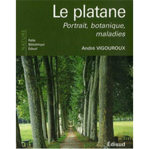 LE PLATANE. PORTRAIT, BOTANIQUE, MALADIES
