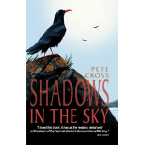 SHADOWS IN THE SKY