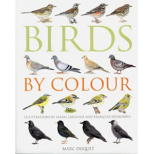BIRDS BY COLOUR