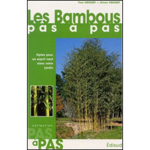 LES BAMBOUS PAS À PAS