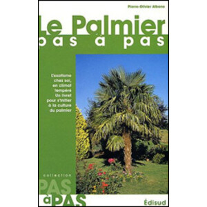 LE PALMIER PAS À PAS
