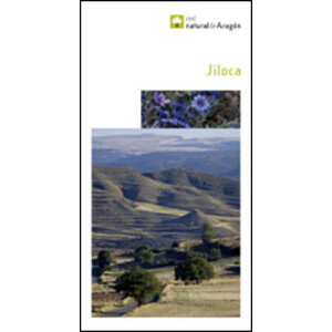 JILOCA