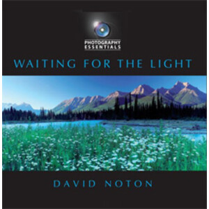 WAITING FOR THE LIGHT