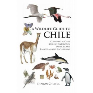 A WILDLIFE GUIDE TO CHILE