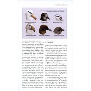 A WILDLIFE GUIDE TO CHILE 5