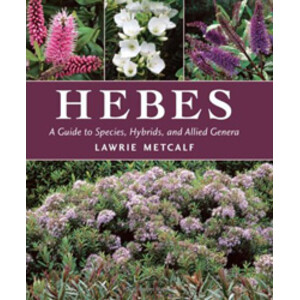 HEBES: A GUIDE TO SPECIES, HYBRIDS AND ALLIED GENERA