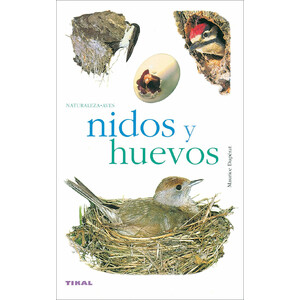 NIDOS Y HUEVOS